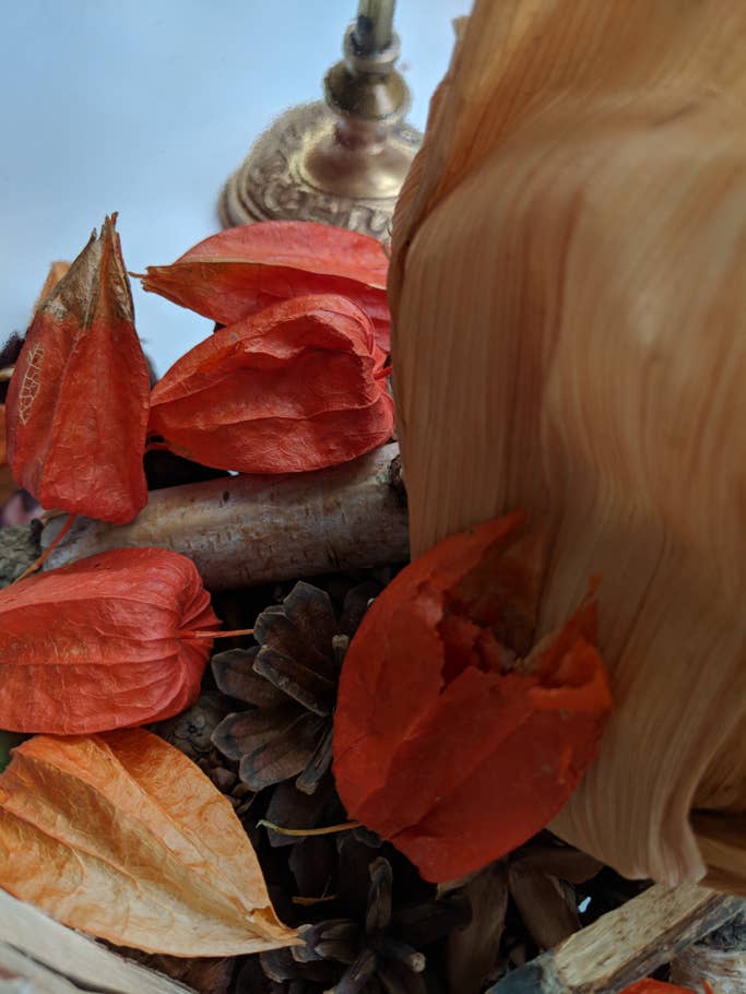 Maker:S,Date:2017 9 16,Ver:6,Lens:Kan03,Act:Lar02,E:Y