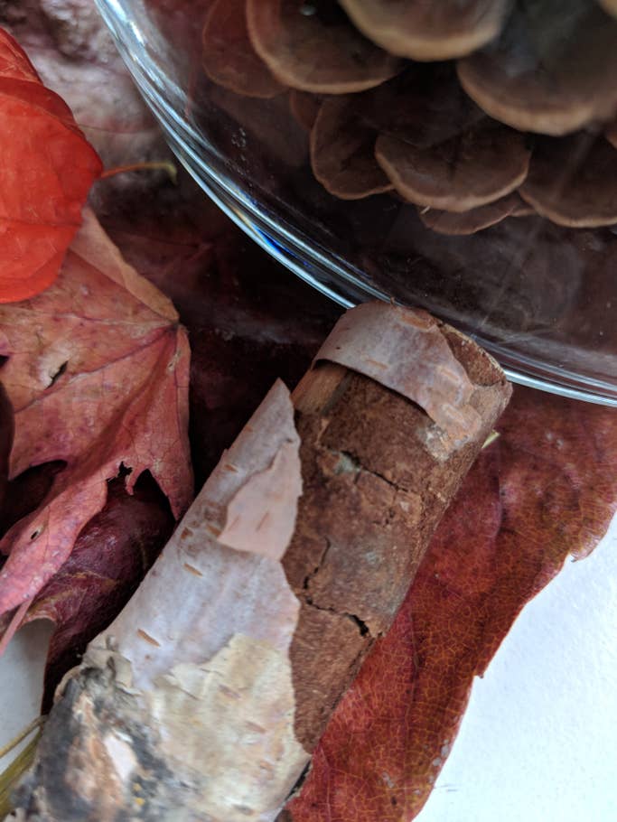 Maker:S,Date:2017 9 16,Ver:6,Lens:Kan03,Act:Lar02,E:Y