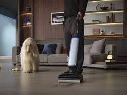 Ein Mann saugt seine Wohnung, neben ihm steht ein Hund
