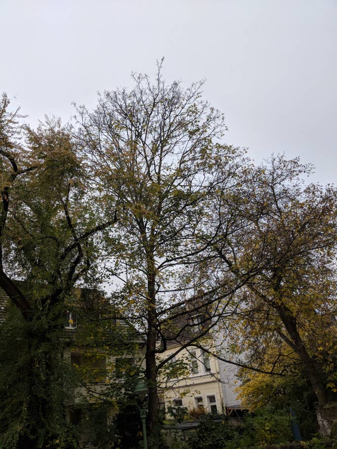 Maker:S,Date:2017 9 16,Ver:6,Lens:Kan03,Act:Lar02,E:Y