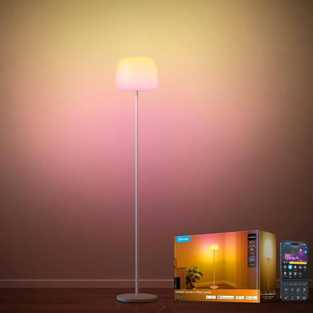 Govee Lantern Floor Lamp