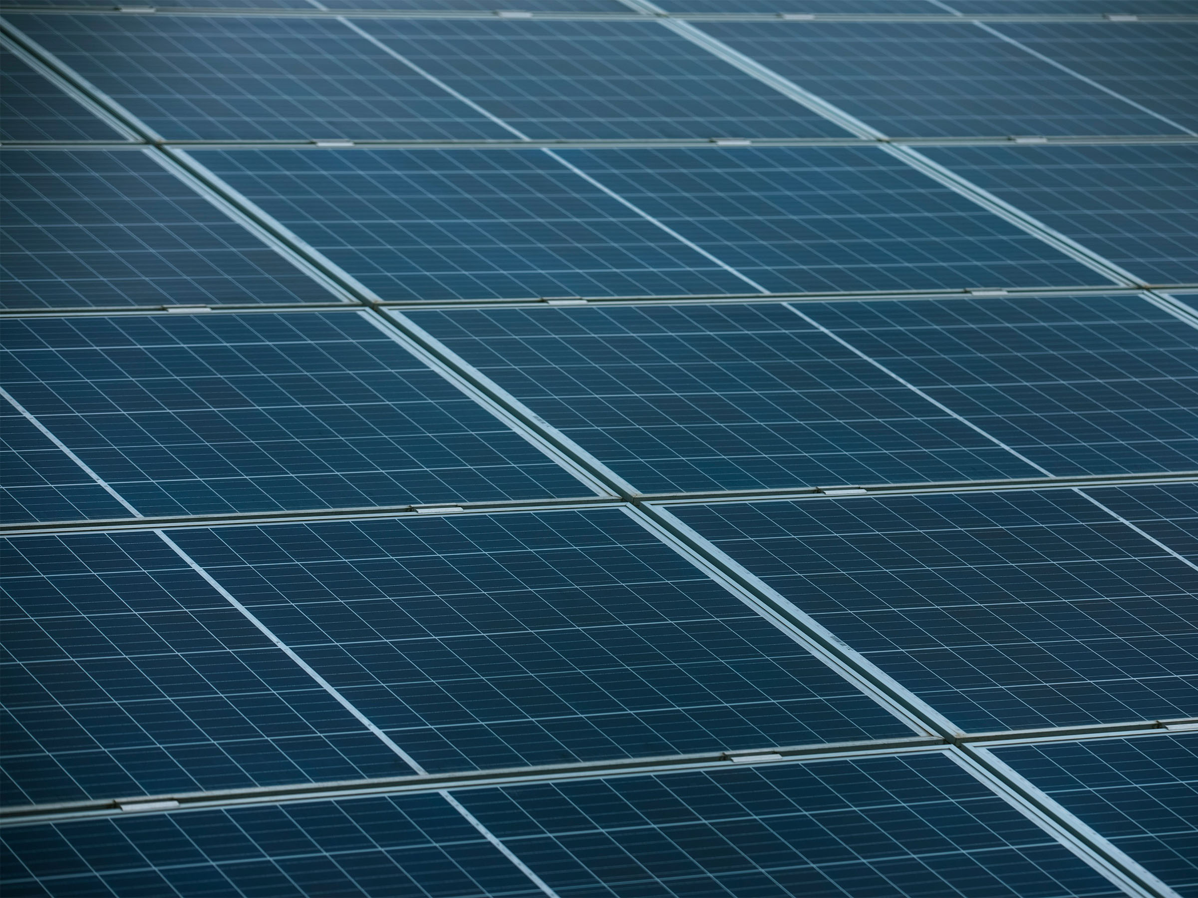 #70 Prozent günstiger: Diese Solarzellen sind günstig und leistungsstark