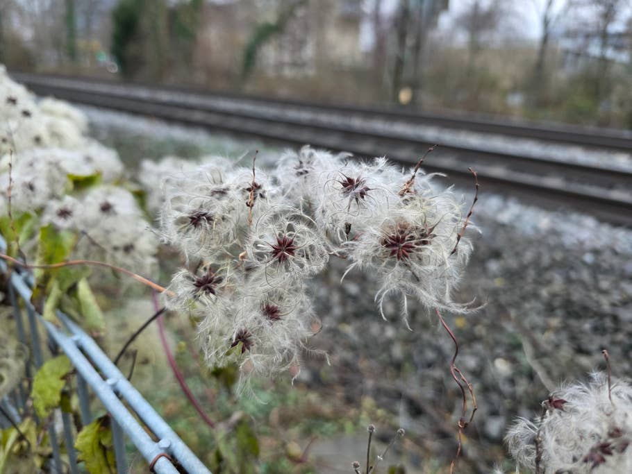 Kamera-Blindtest 2025