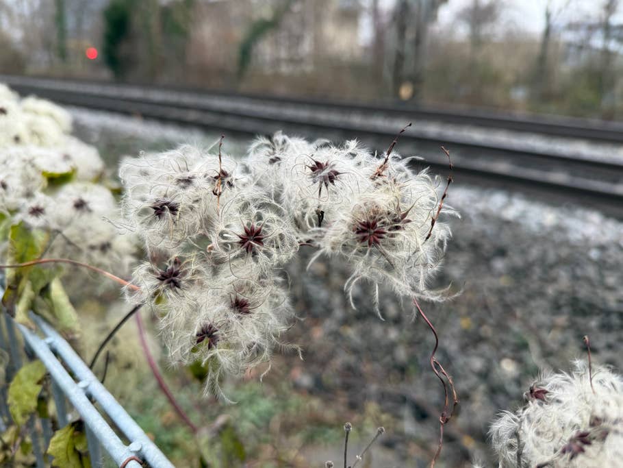 Kamera-Blindtest 2025