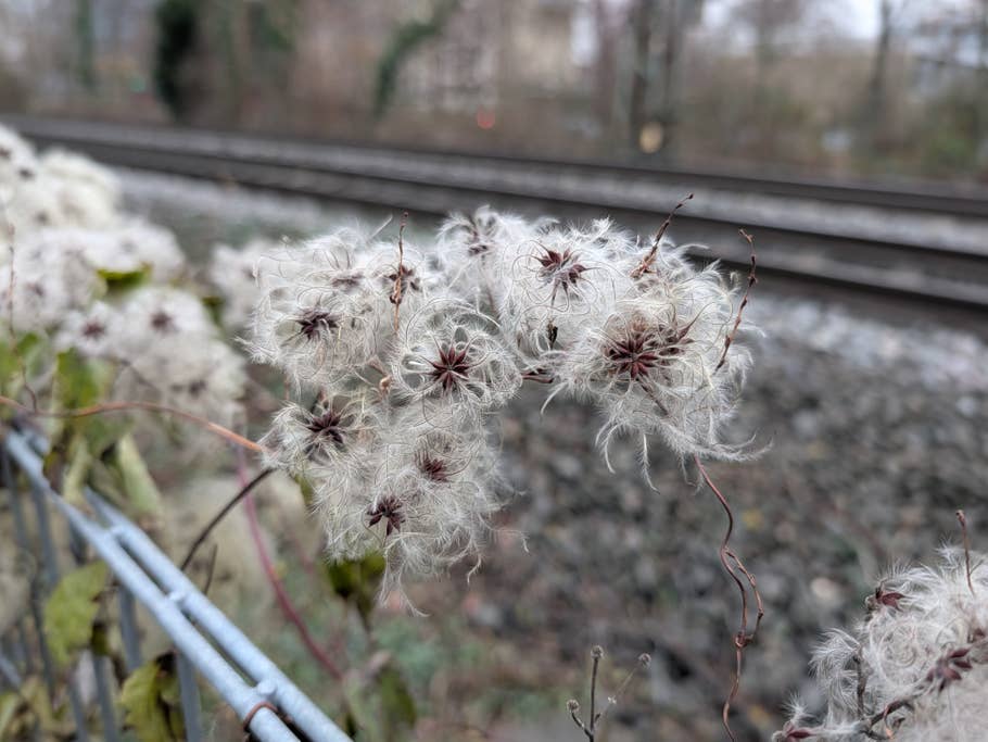 Kamera-Blindtest 2025