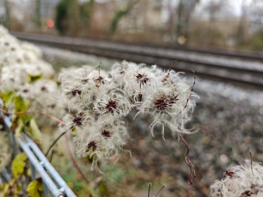 Kamera-Blindtest 2025