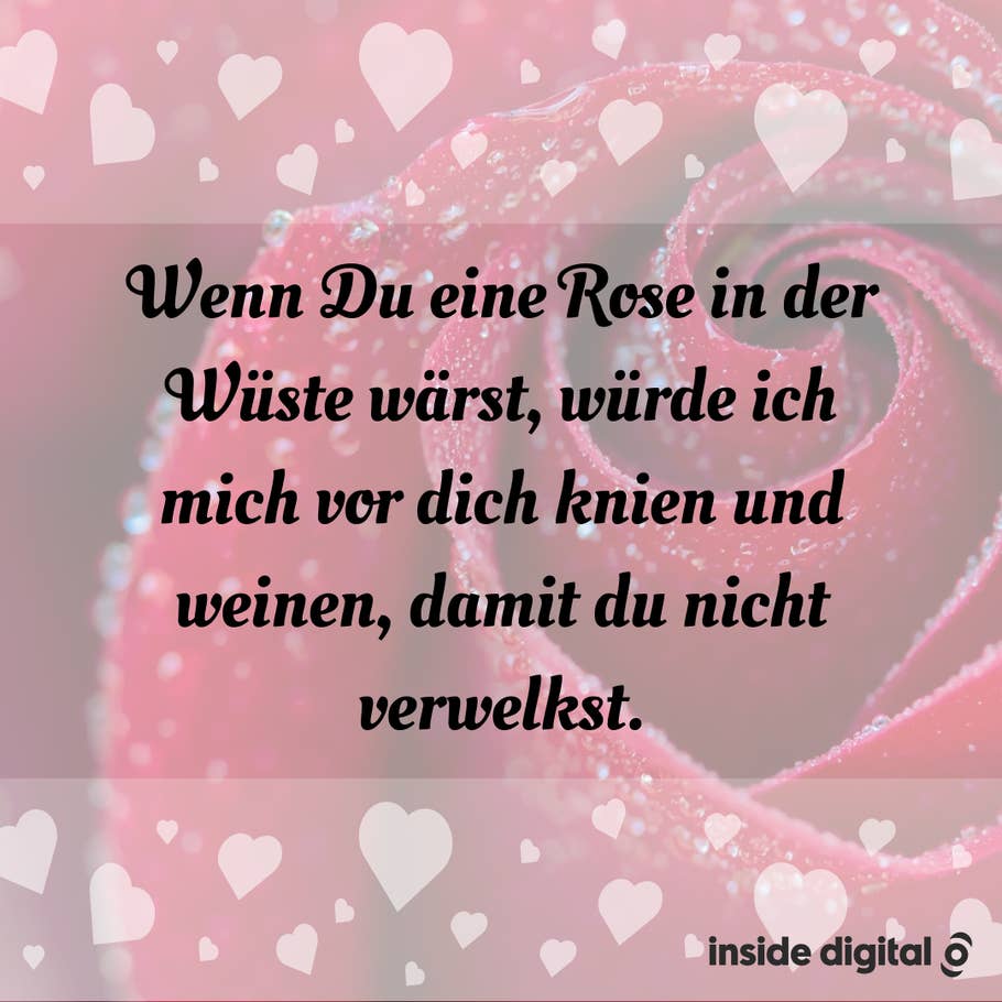 Wenn Du eine Rose in der Wüste wärst, würde ich mich vor dich knien und weinen, damit du nicht verwelkst.