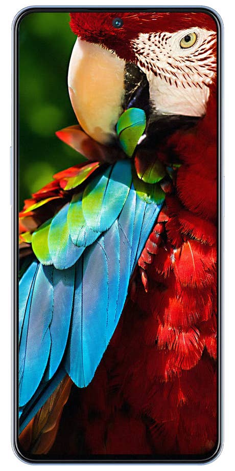 Xiaomi Redmi Note 12 Datenblatt | alle technischen Daten