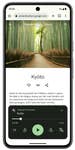 Google Pixel 8