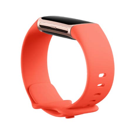 Foto: Smartwatch Google Fitbit Charge 6