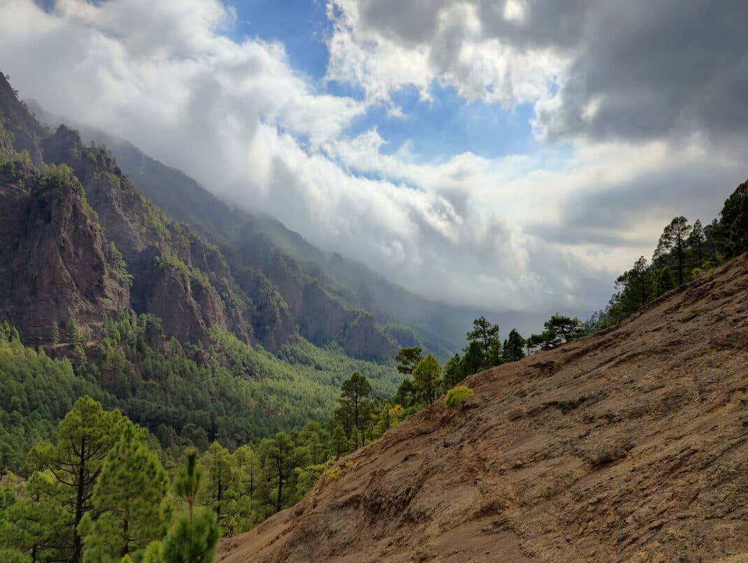 Landschaftsaufnahme mit dem OnePlus 9 Pro