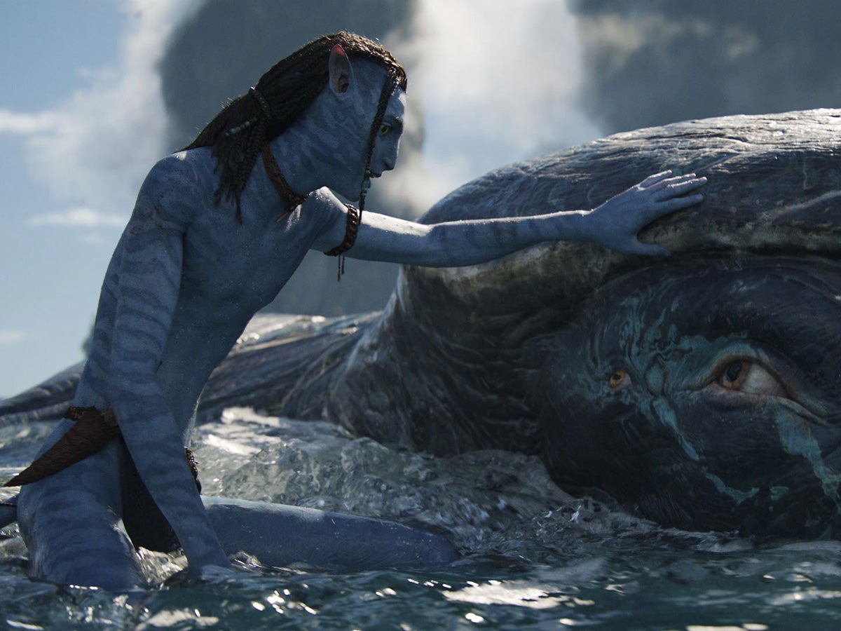 #Irre: 9 Stunden Filmmaterial für Avatar 3 sollen animiert werden