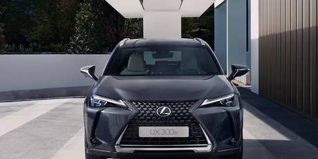 Foto: E-auto Lexus UX 300E