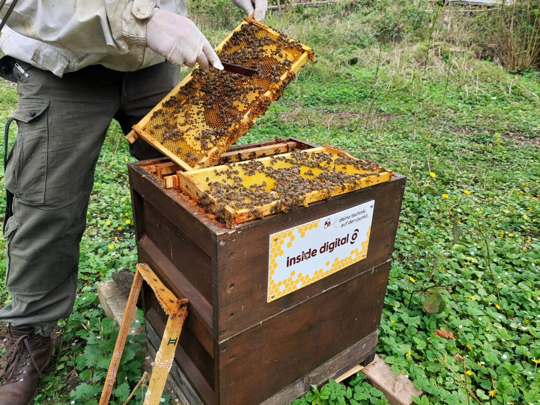 Markus Woll zeigt uns den Aufbau eines Bienenstocks