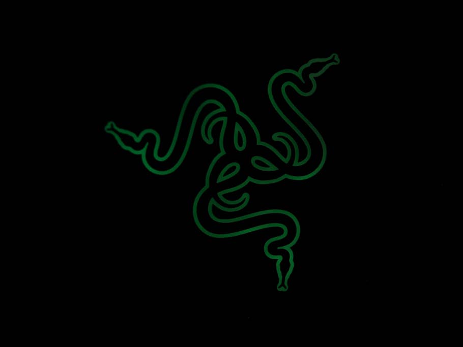 Das Razer Logo des Razer Phone 2 in grün