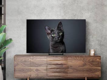 Samsung OLED-TV mit Cashback und gratis Extra