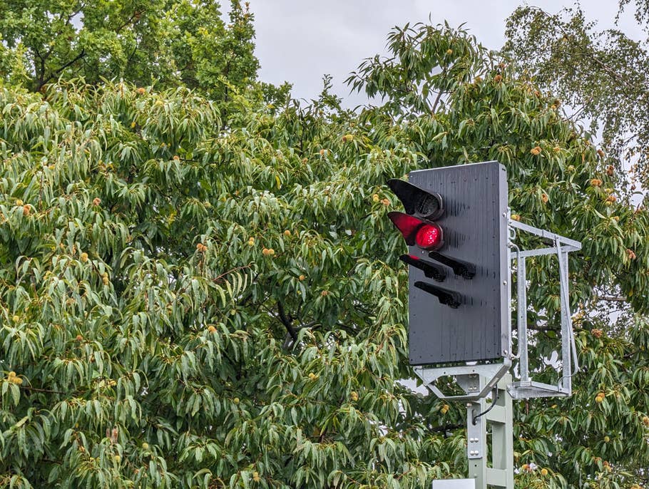 Satte Farben mit der Telezoom-Kamera