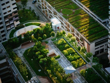 Urban Gardening - So findest du deinen Garten in deiner Stadt