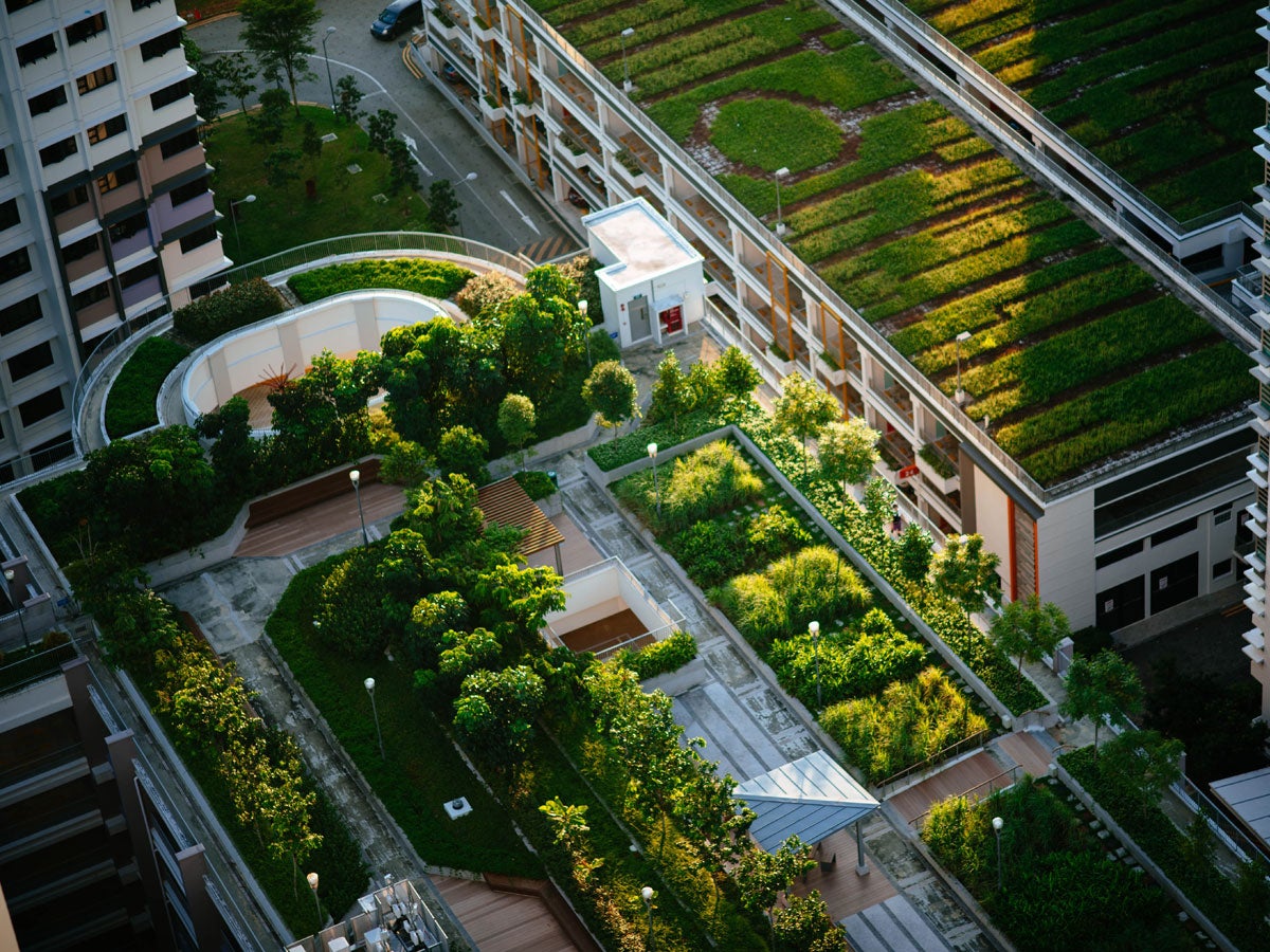 Urban-Gardening-So-findest-du-deinen-Garten-in-deiner-Stadt