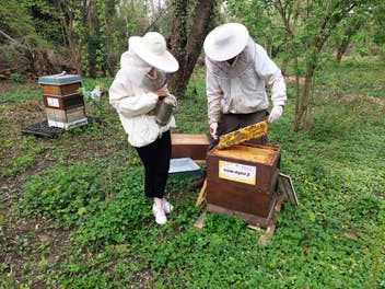 Weltbienentag - inside digital unterstützt lokale Imker durch Bienenpatenschaften