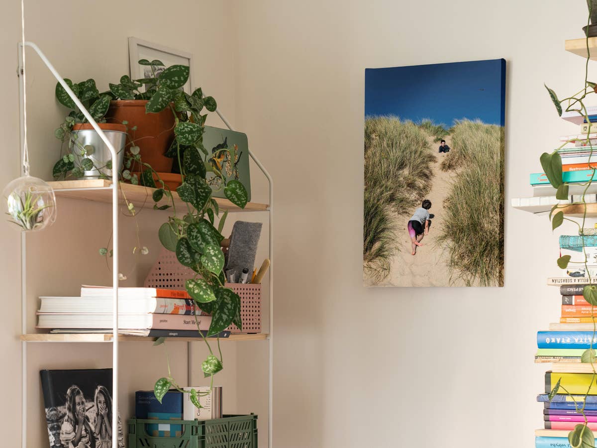 Aldi verschenkt Foto-Leinwand Aldi Aktion, Foto-Leinwand kostenlos