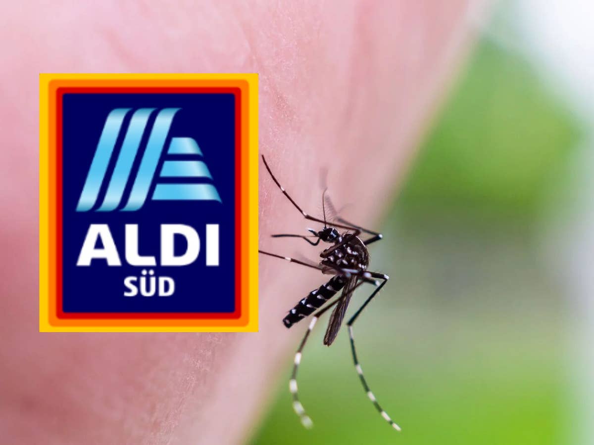 Aldi-Logo neben einer Mücke Aldi-Logo neben einer Mücke