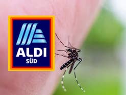 Aldi-Logo neben einer Mücke