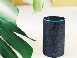 Amazons Alexa auf einem Echo-Lautsprecher, der neben einer Pflanze steht