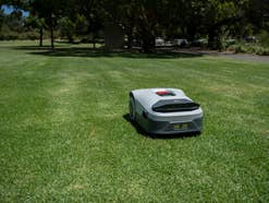 Anthbot Genie 800 Mähroboter auf einer Wiese