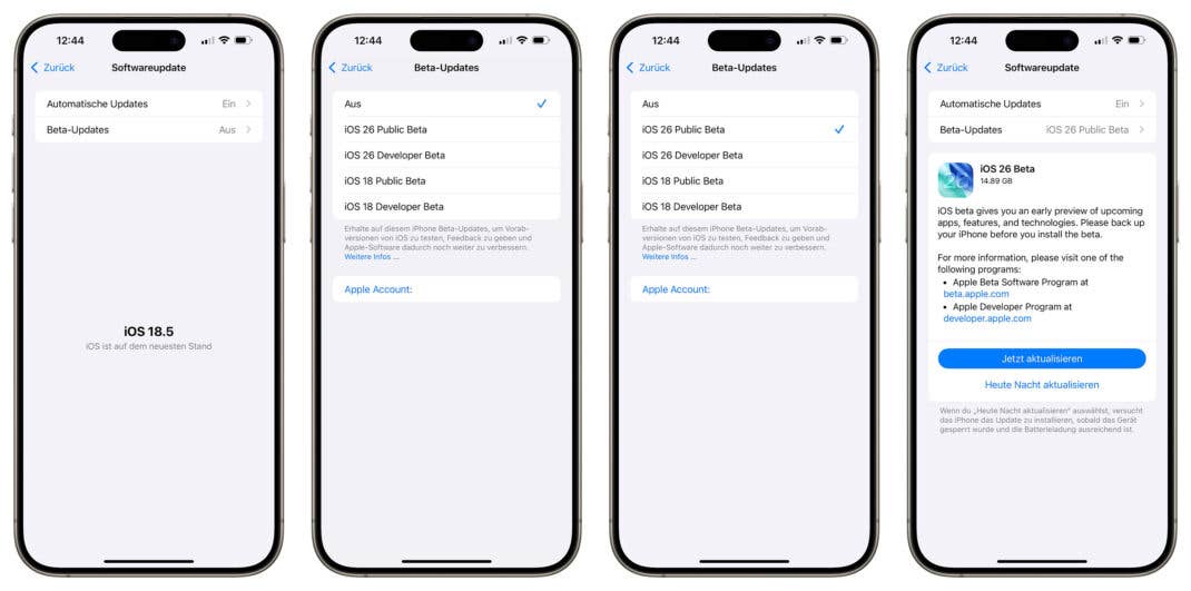 Einmal registriert, kannst du die iOS 26 Public Beta auf deinem iPhone auswählen