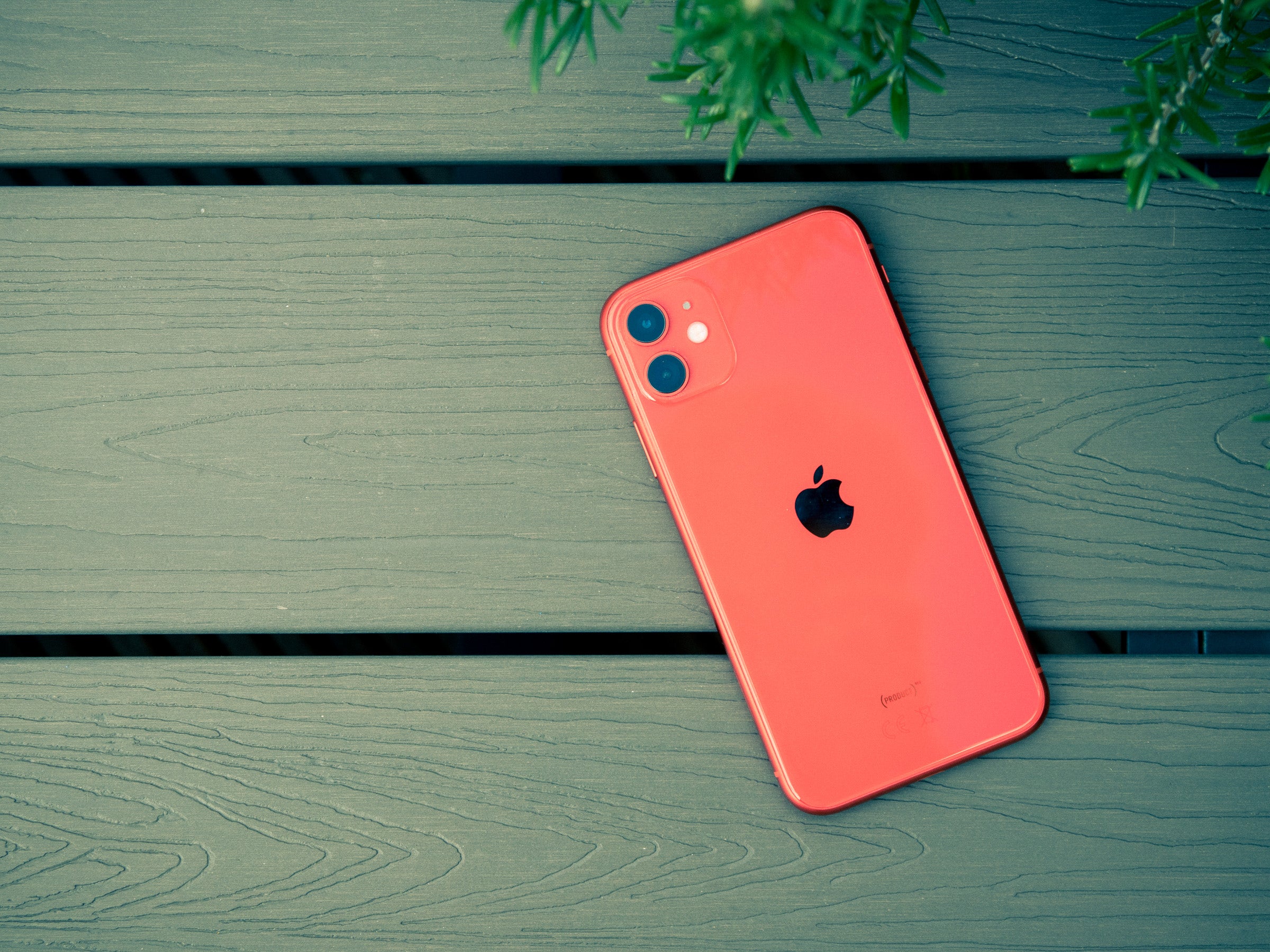 Apple-Deal zum kleinen Preis: So günstig ist das 2019er-iPhone jetzt mit Vertrag