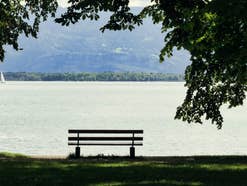 Das Ende der Witwenrente: Die grausame Wahrheit hinter der Reform