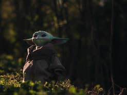 Baby Yoda aus 