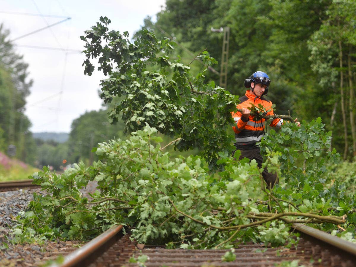 Baum im Gleis auf einer Bahnstrecke