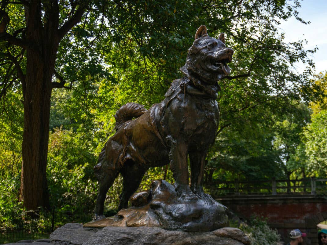 Balto Gedenkstatue, East Drive in New York