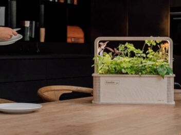 Die Smart Indoor Gardening Box von BerlinGreen auf einem Holztisch vor dunklem Hintergrund.