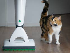 Vorwerk Besserwischer mit einer Katze