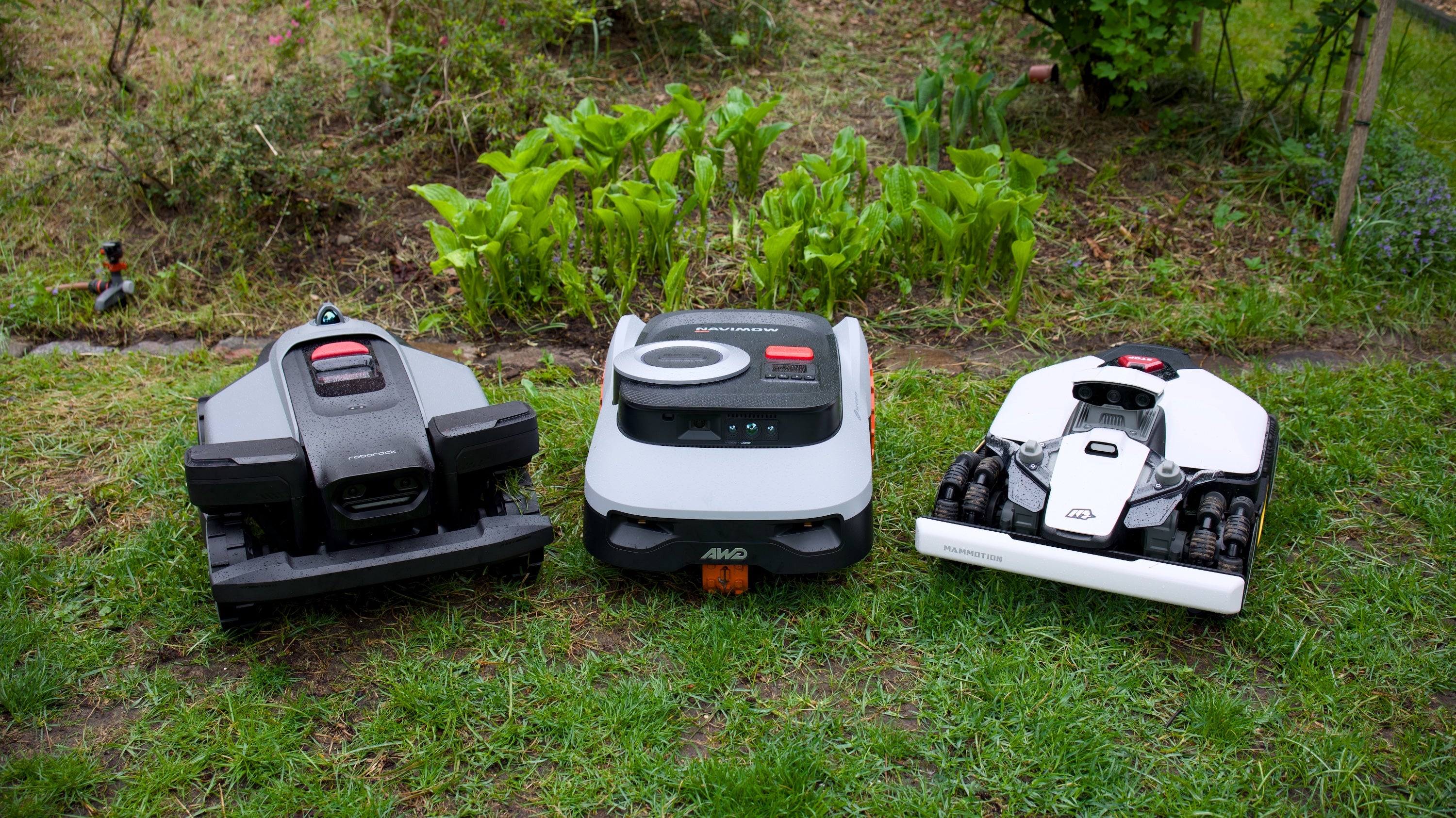 Testsieger: Das ist der beste Mähroboter ohne Begrenzungskabel