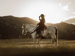 Western, Pferd, Cowboy