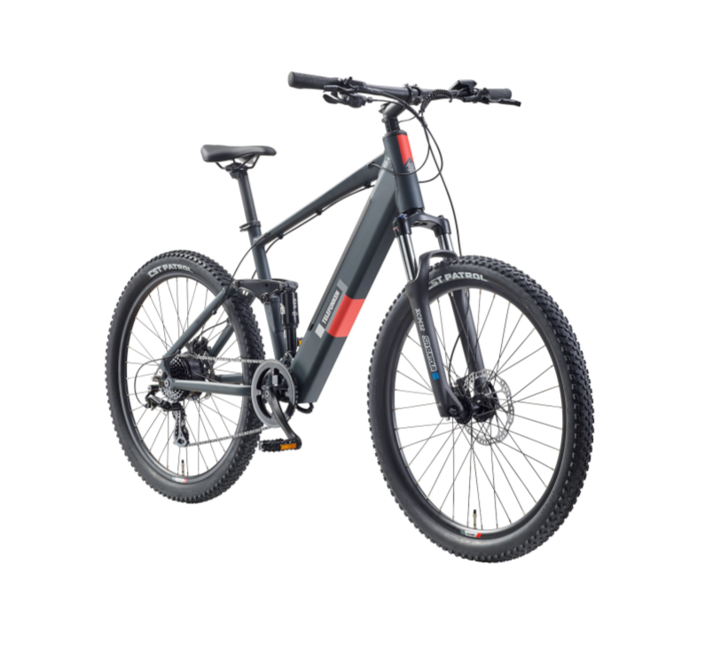 Telefunken E-Bike Mountainbike Aufsteiger M936