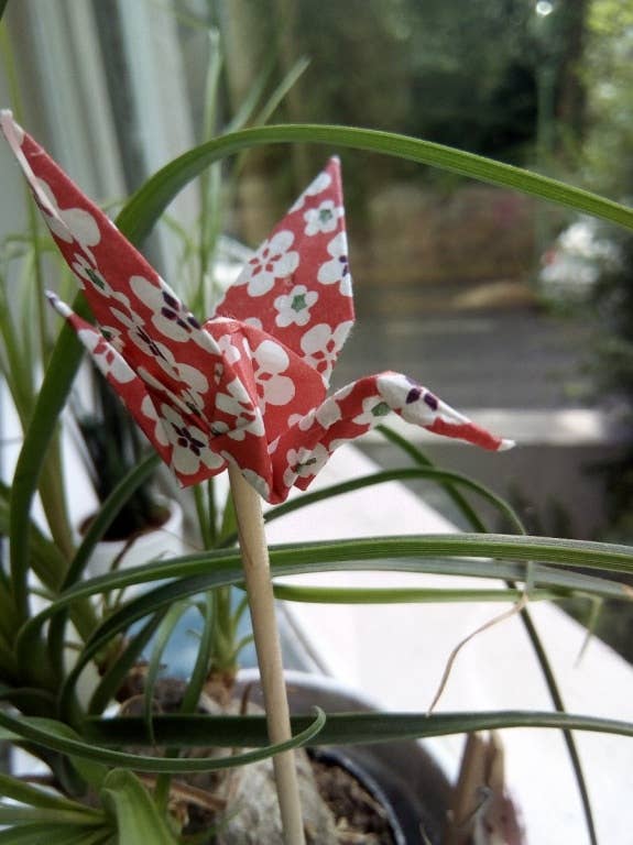 Blackview E7: Die Kamera im Test