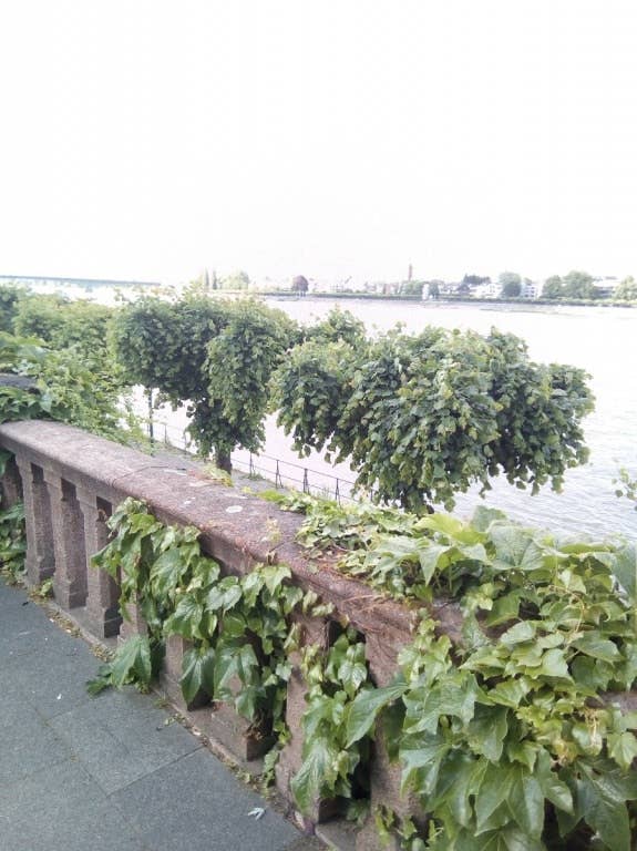 Blackview E7: Die Kamera im Test