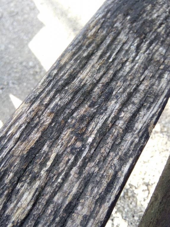 Blackview E7: Die Kamera im Test