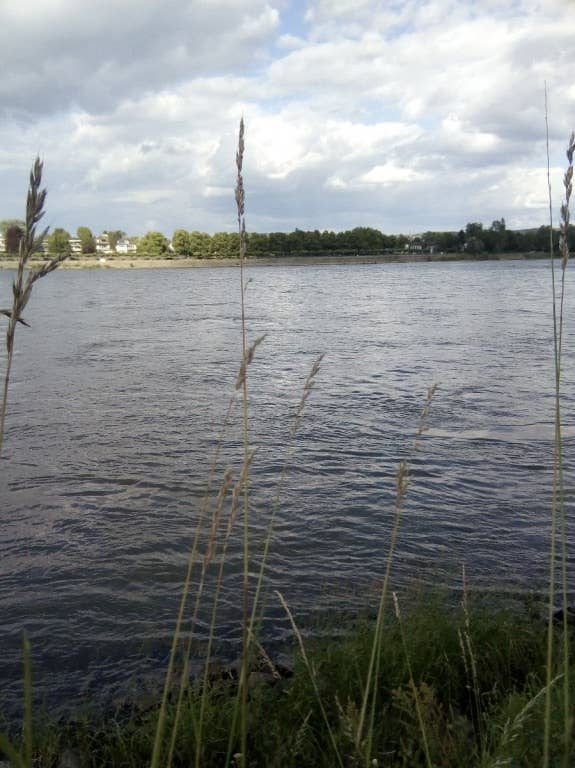 Blackview E7: Die Kamera im Test