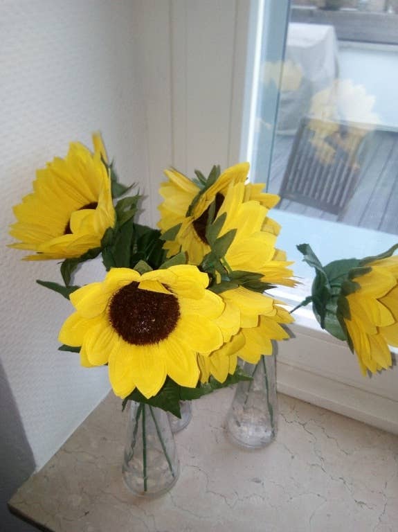 Blackview E7: Die Kamera im Test