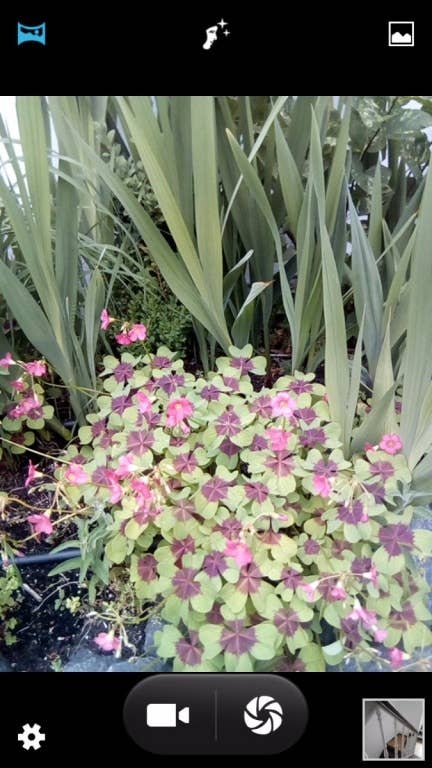 Blackview E7 im Test: Die Kamera-App