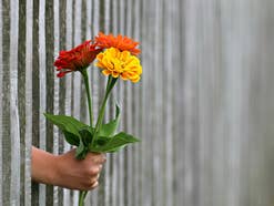 Blumen online verschicken.