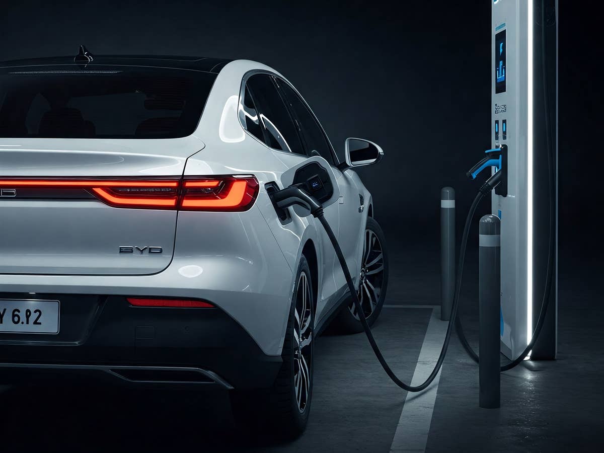 E-Auto von BYD steht an einer Ladesäule.