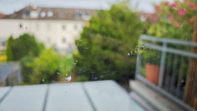 Vor diesem Fenster standen Pflanzen, die die Scheibe verklebt haben. schmutziges Fenster mit Blick auf Garten und Häuser