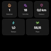 So sieht es aus, wenn man per Schnellstart losläuft. Screenshot aus der Sportstech Live App